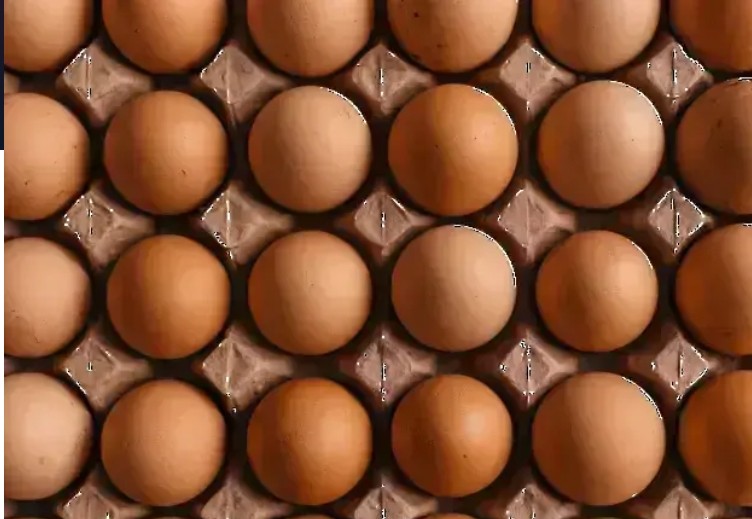 Не се очаква поскъпване на яйцата и пилешкото месо след Нова година